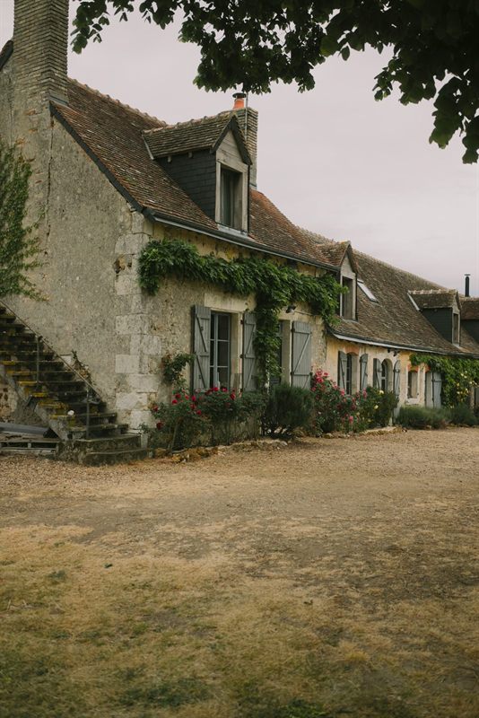 Une longère fleurie sous un grand arbre